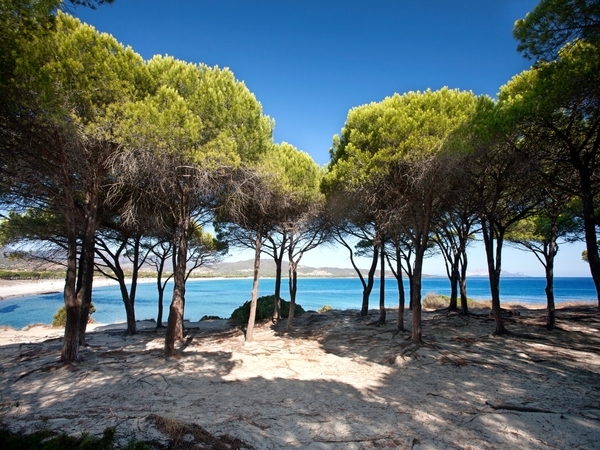 Le Residenze di Budoni Vetrina Estate